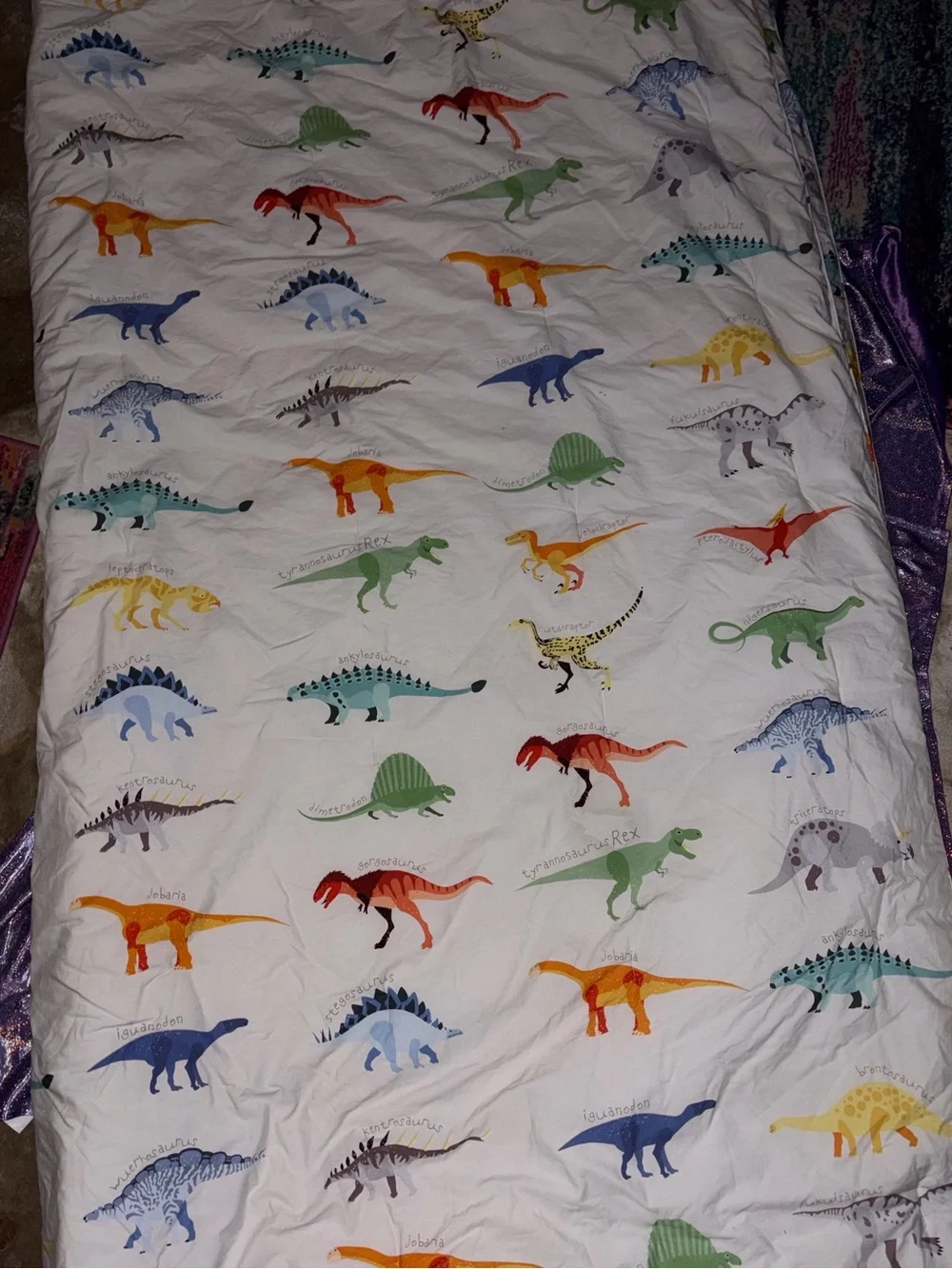 Pottery Barn Dinosaur Comforter